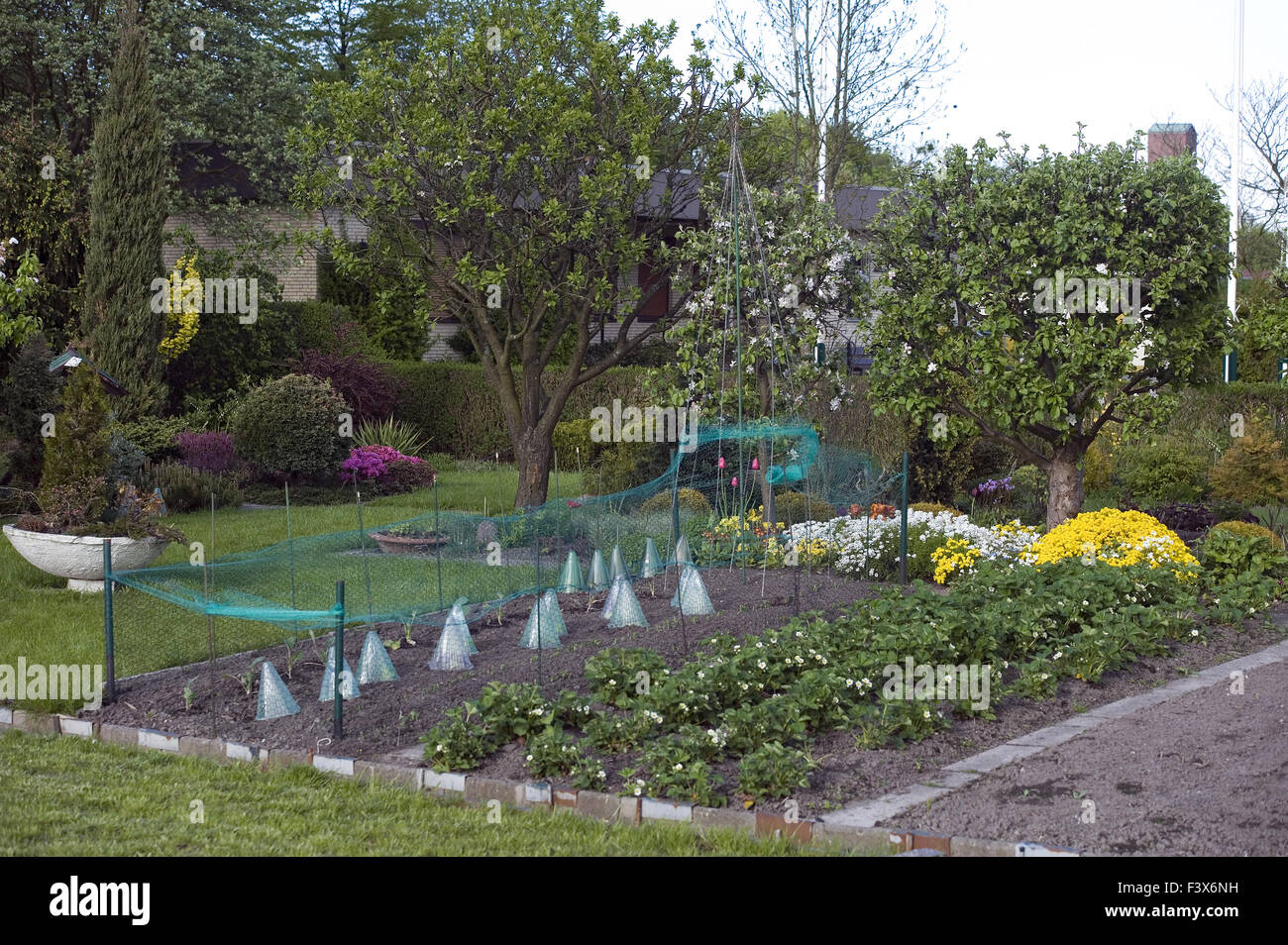 Potager Banque D'Images