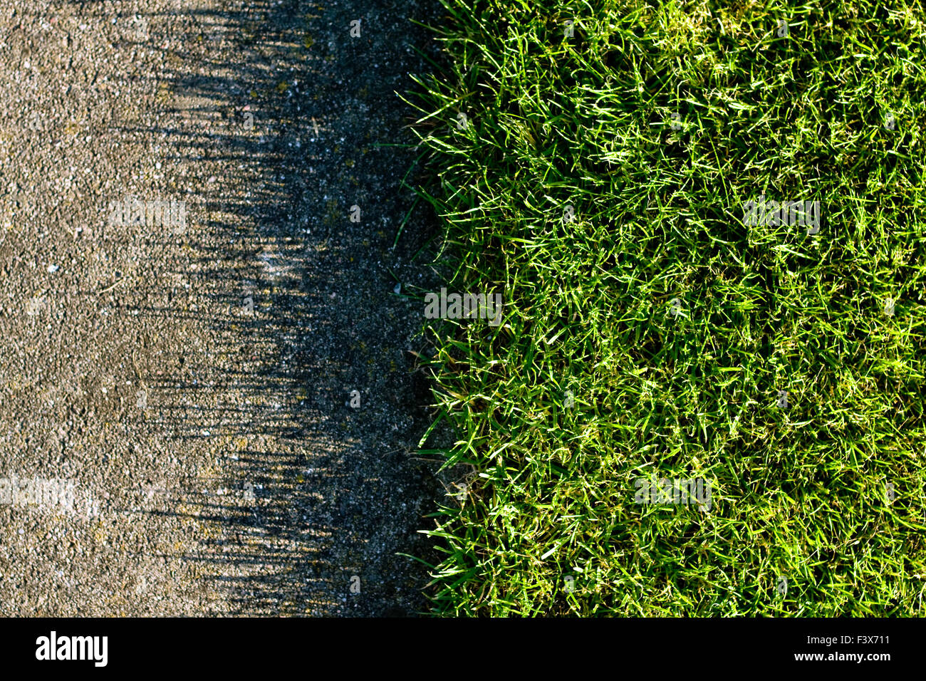 herbe, ombre Banque D'Images