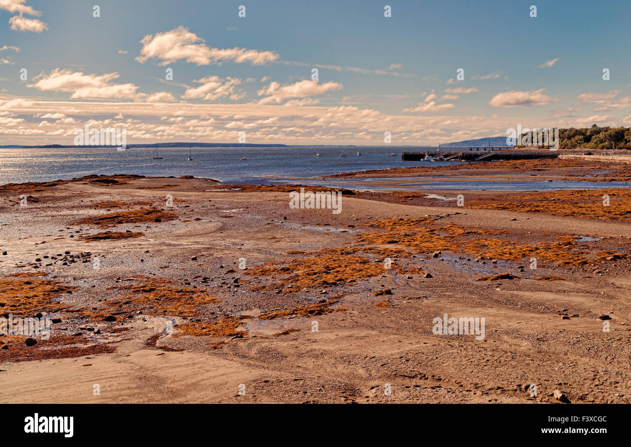 Vue large de la marée basse à Bar Harbor, Maine, à la lumière du matin. Banque D'Images