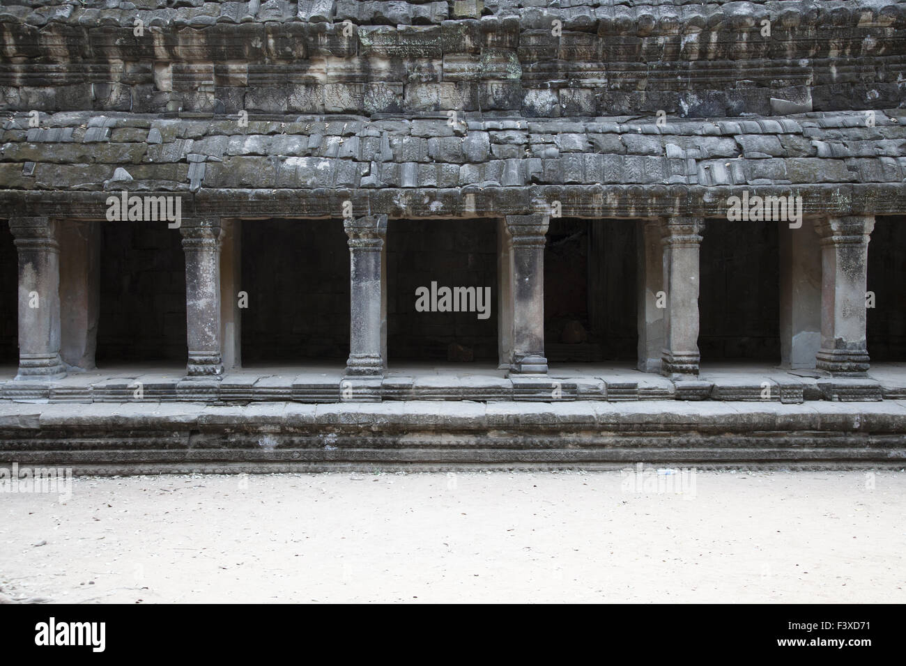 Ta Prohm temple au Cambodge Banque D'Images