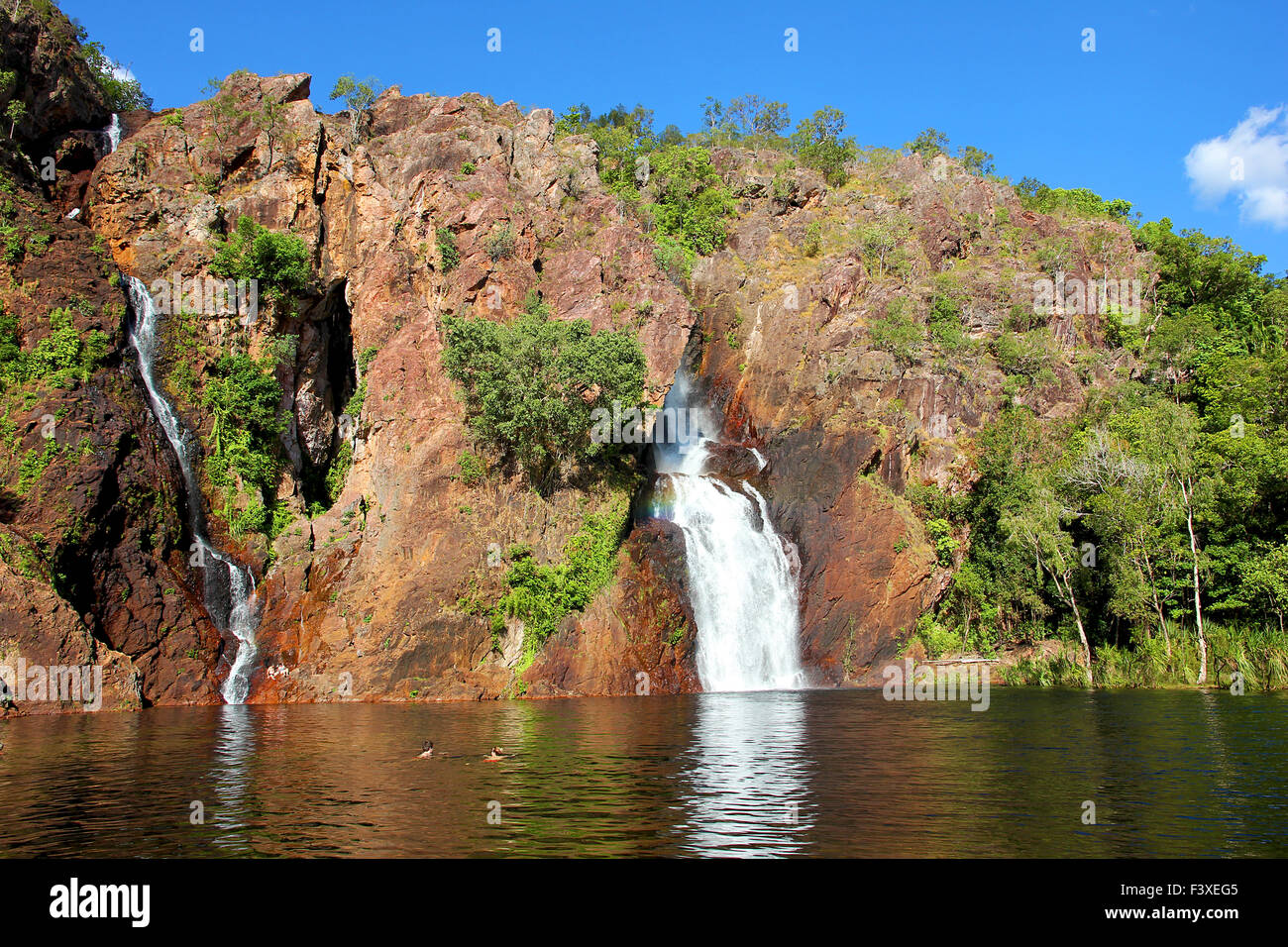 L'Australie lichtfield national park Banque D'Images