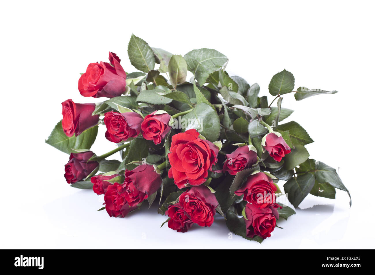 Roses rouges Banque D'Images