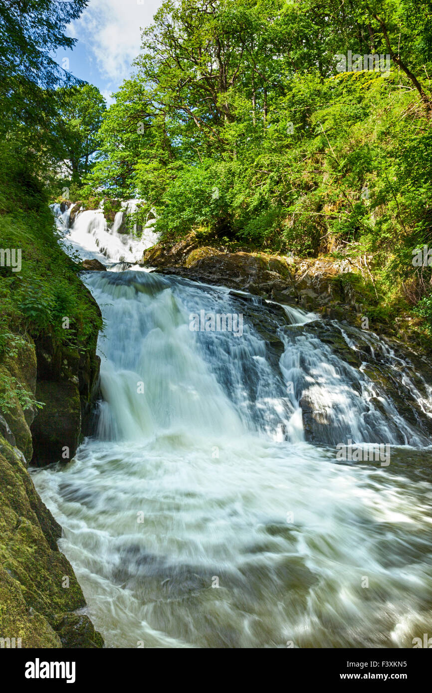 Swallow Falls, Betws-Y-coed, au nord du Pays de Galles Banque D'Images
