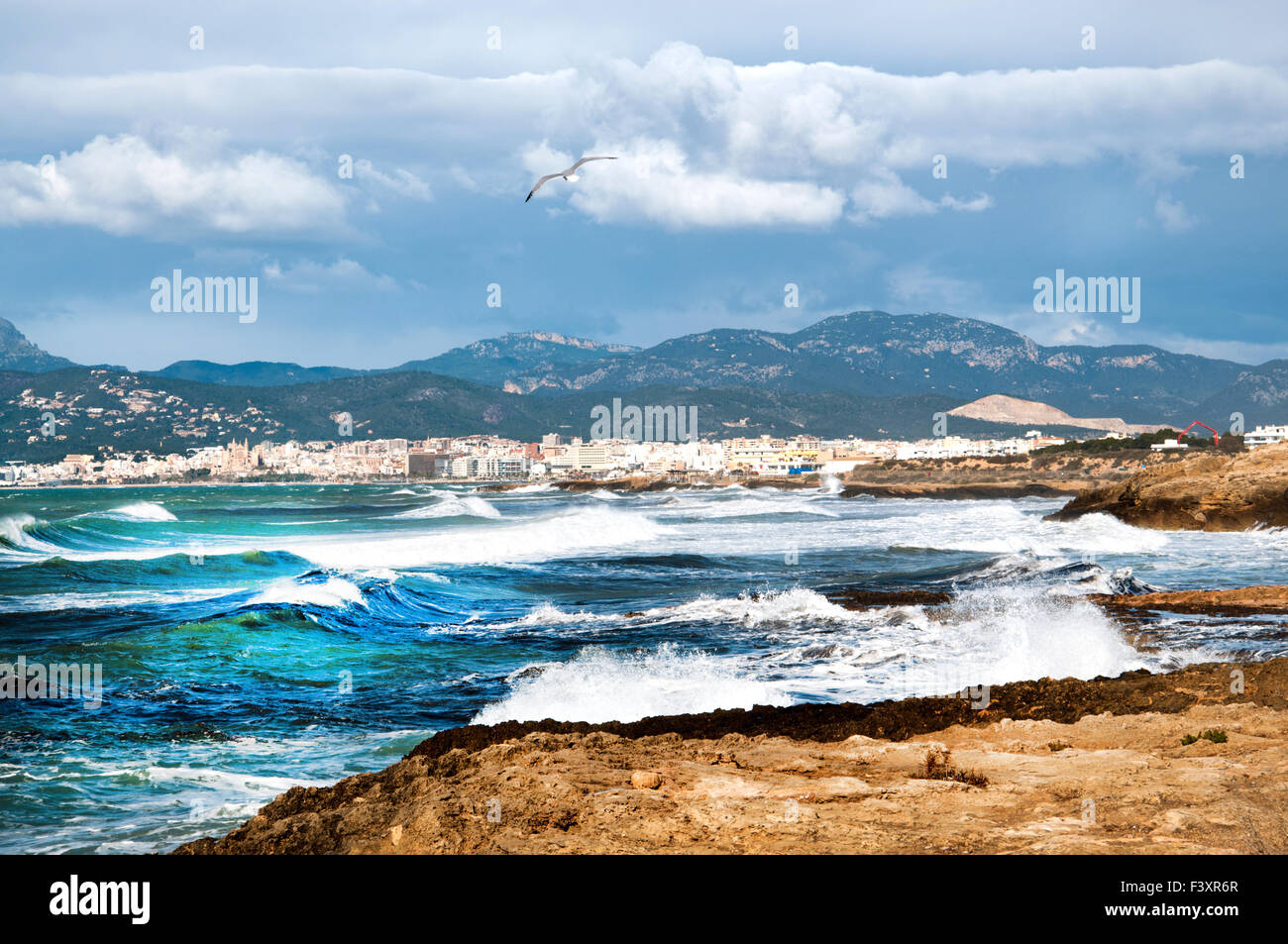 Baie de Palma de Mallorca avec oiseau en vol Banque D'Images