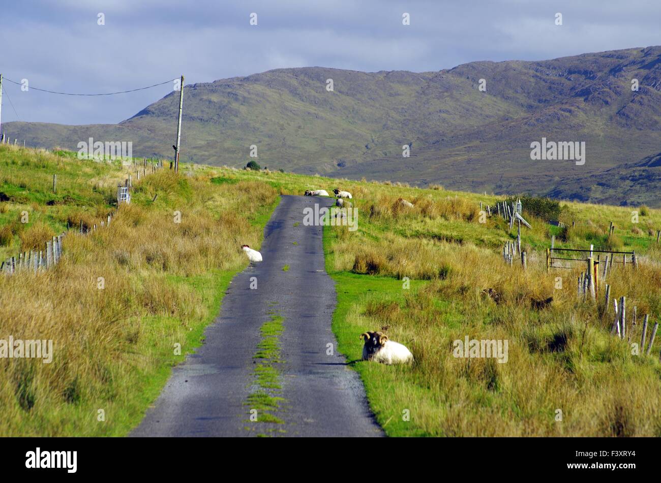 Tout à fait la beauté dans le Connemara Banque D'Images