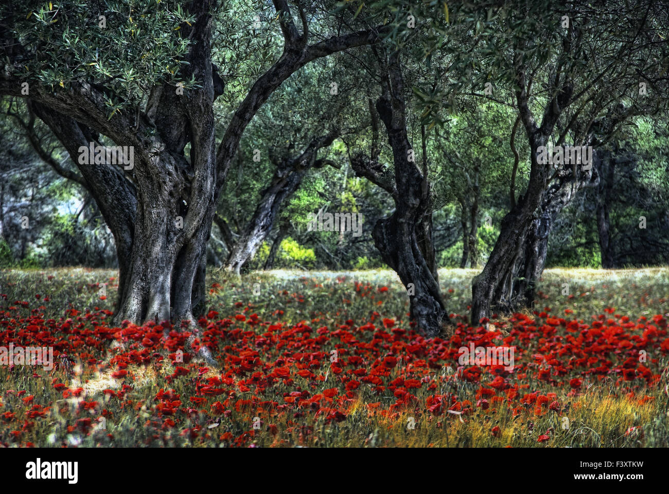 Provence Impression Banque D'Images