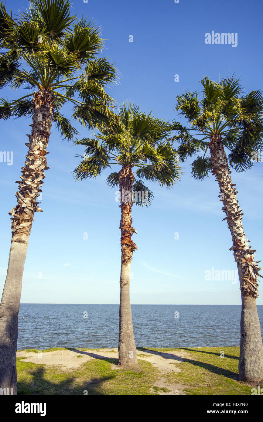 Texas Houston Kingwood Banque D'Images