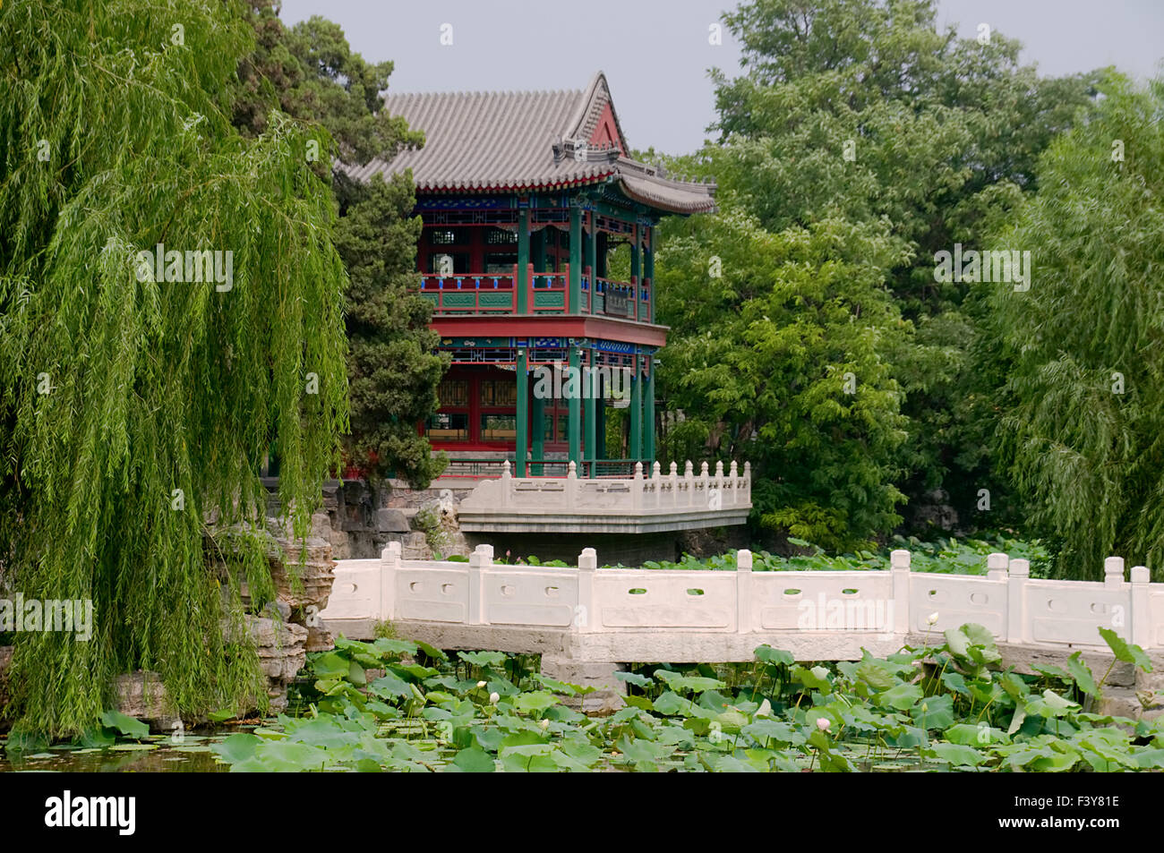 Le panorama de l'étang de lotus Banque D'Images