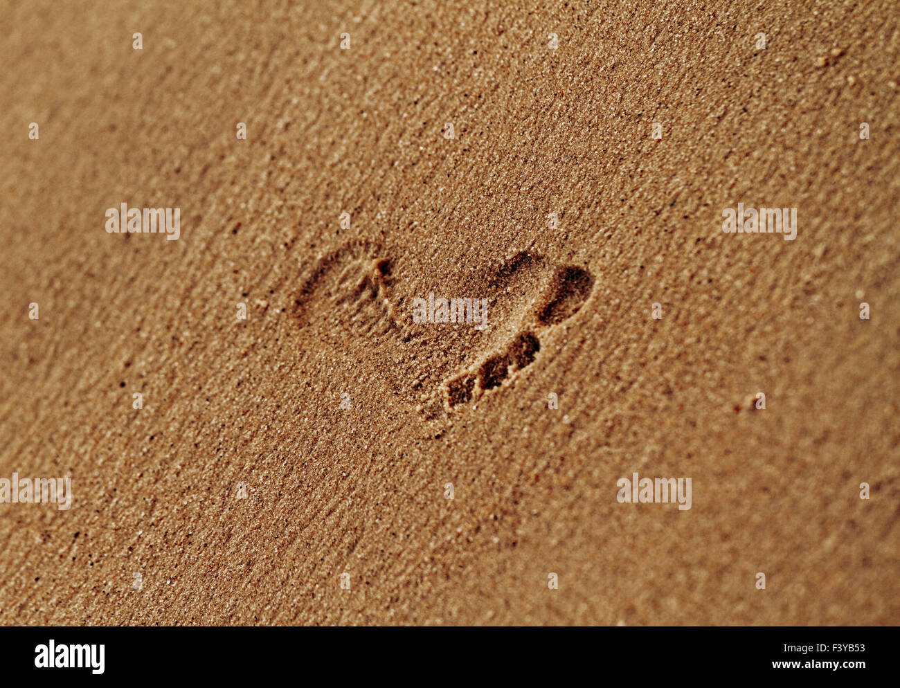 Photo d'empreintes dans le sable du littoral Banque D'Images