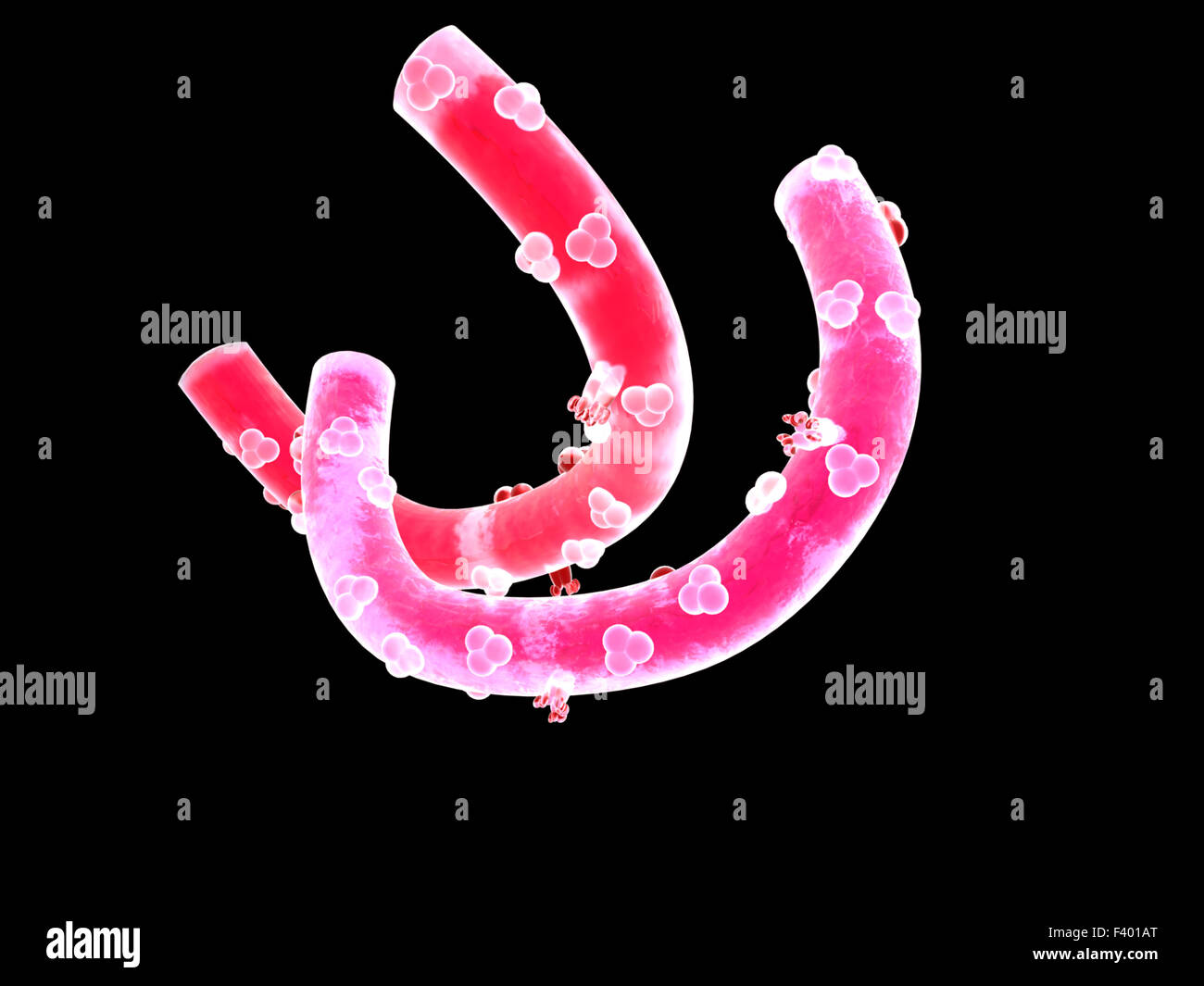 Virus Ebola, avec les protéines de surface Banque D'Images
