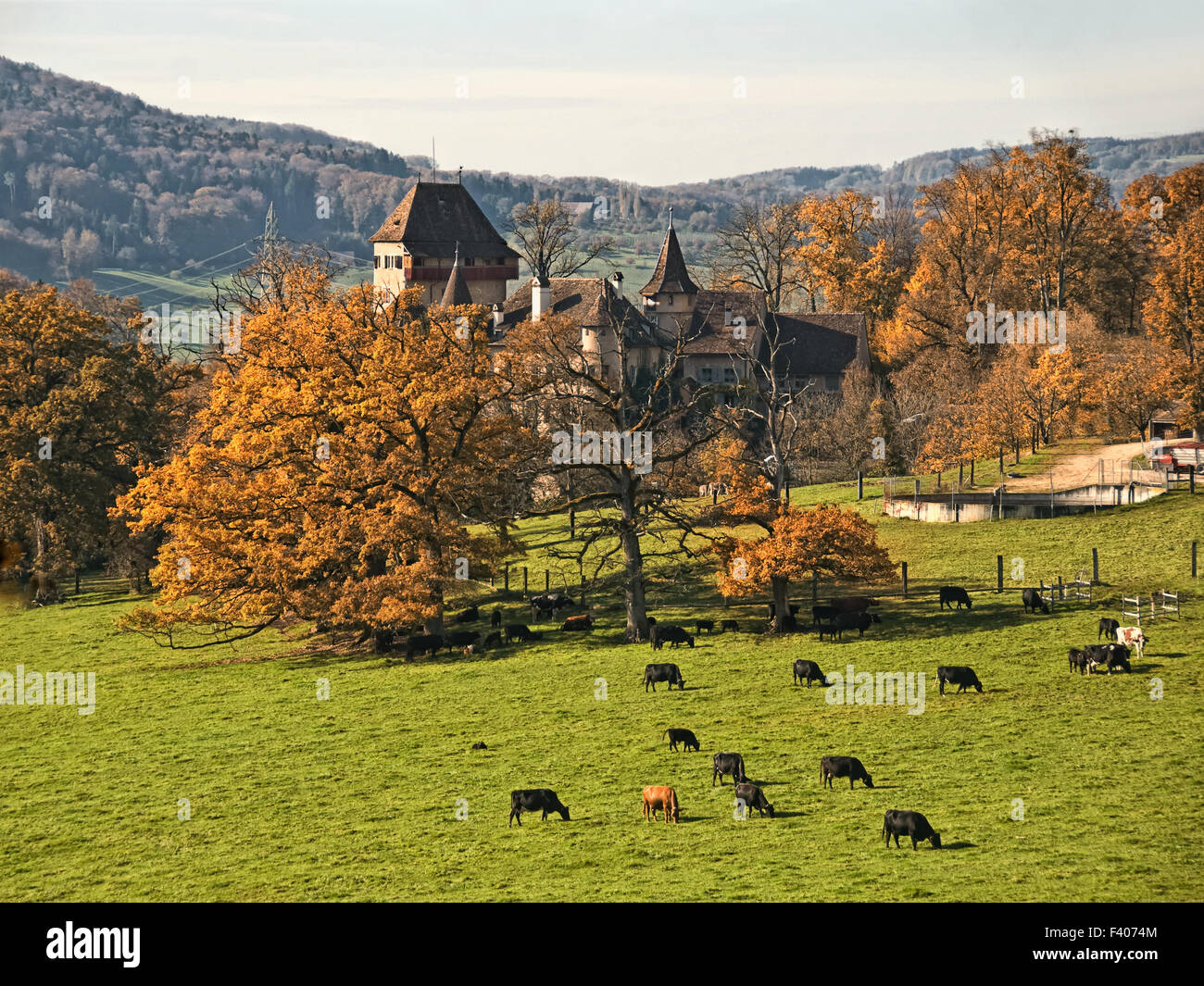 Le Château de Wildenstein Banque D'Images