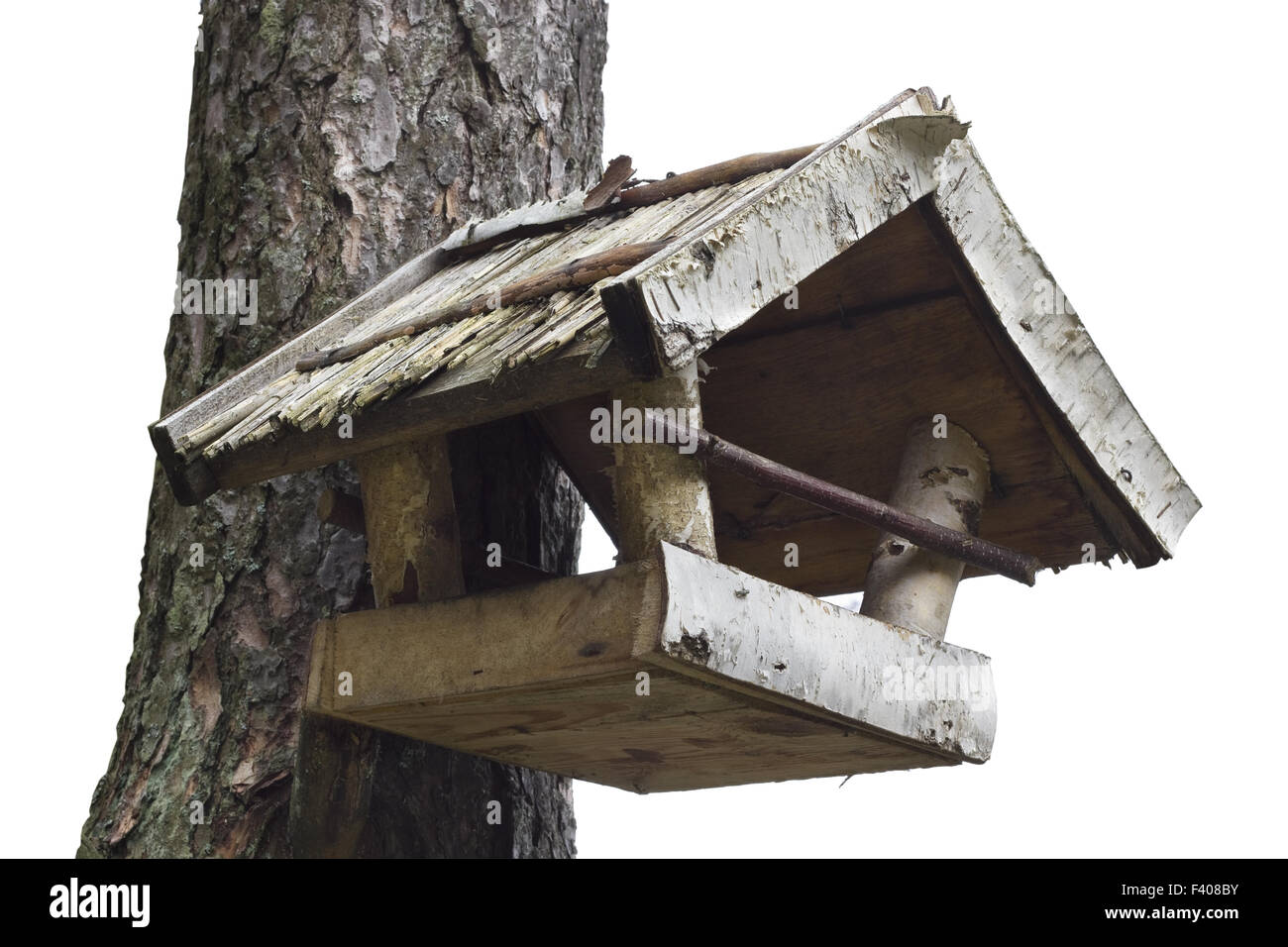 Mangeoires d’oiseaux Banque D'Images