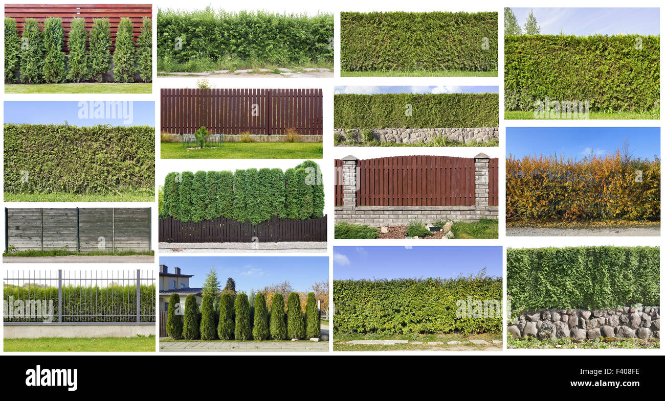 Fragments d'un ensemble de couverture verte Banque D'Images