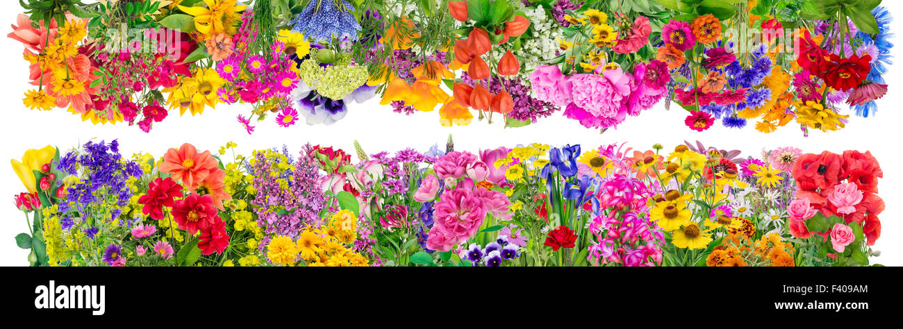 Frontières floral fantastique Banque D'Images
