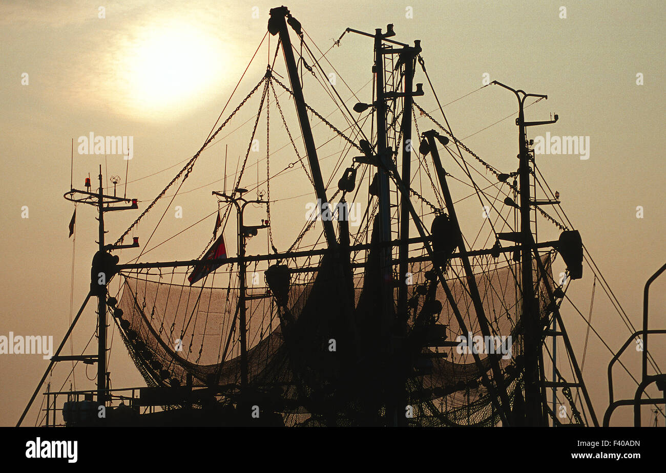 Coupe de crevettes, nord-mer, Allemagne Banque D'Images