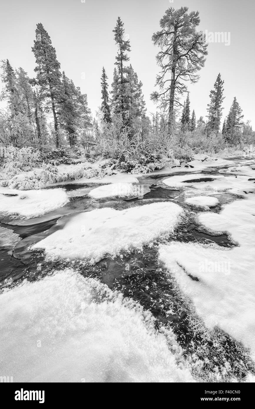 Gel Brook, Laponie, Suède Banque D'Images