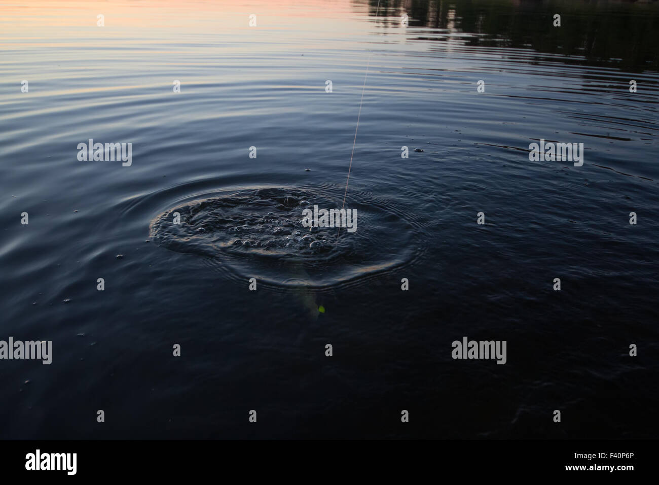 Rivière coucher de pêche avec la perche et d'une tringle Banque D'Images