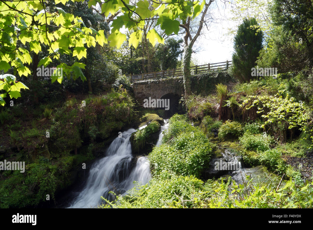 Chute d'eau à écoulement Rouken Glen Park comme un conte de fées, l'eau passe sous le pont et qui descendent des pierres avec de l'herbe et les buissons de chaque côté Banque D'Images