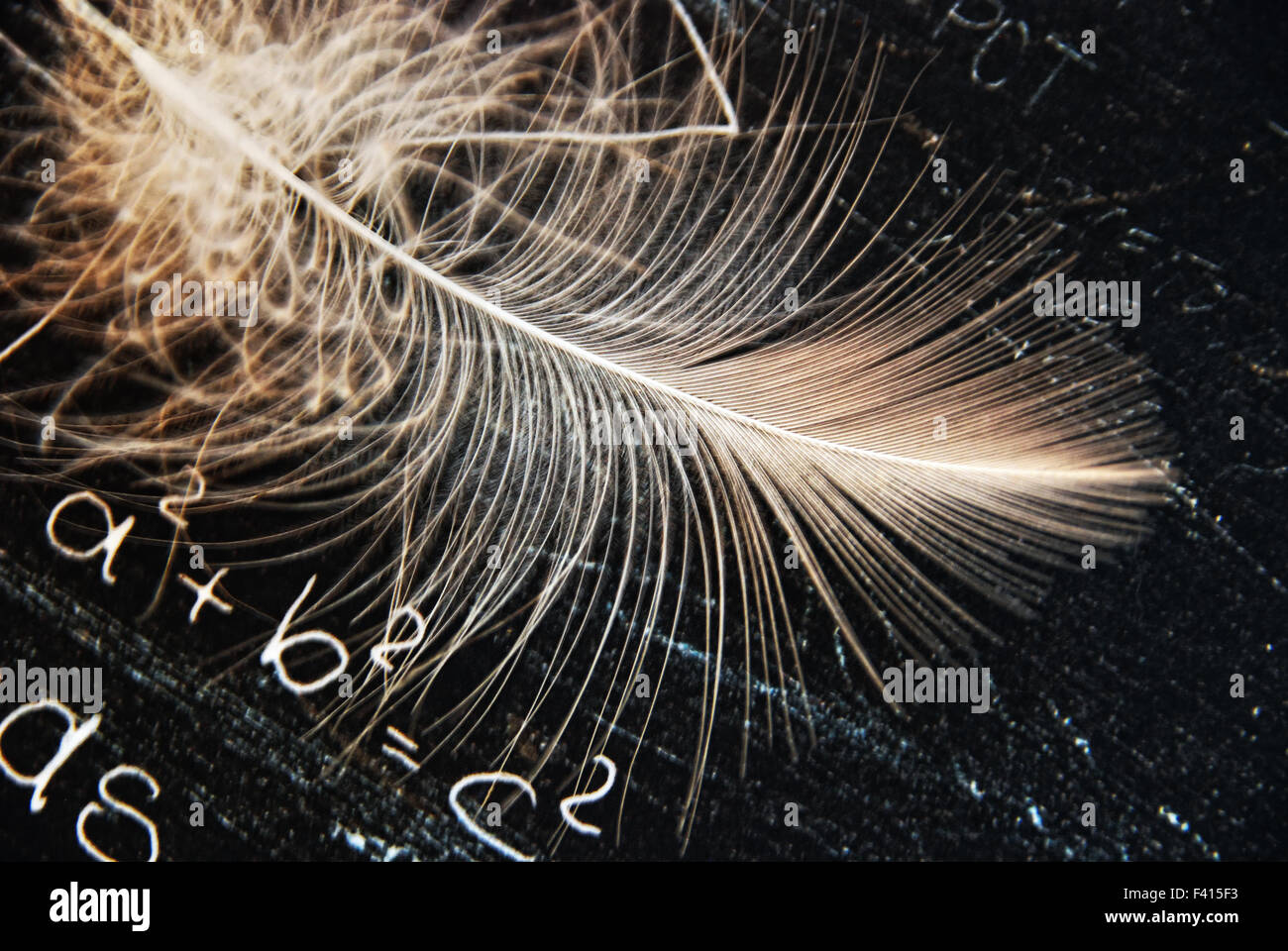 Pythagore et la plume Banque D'Images