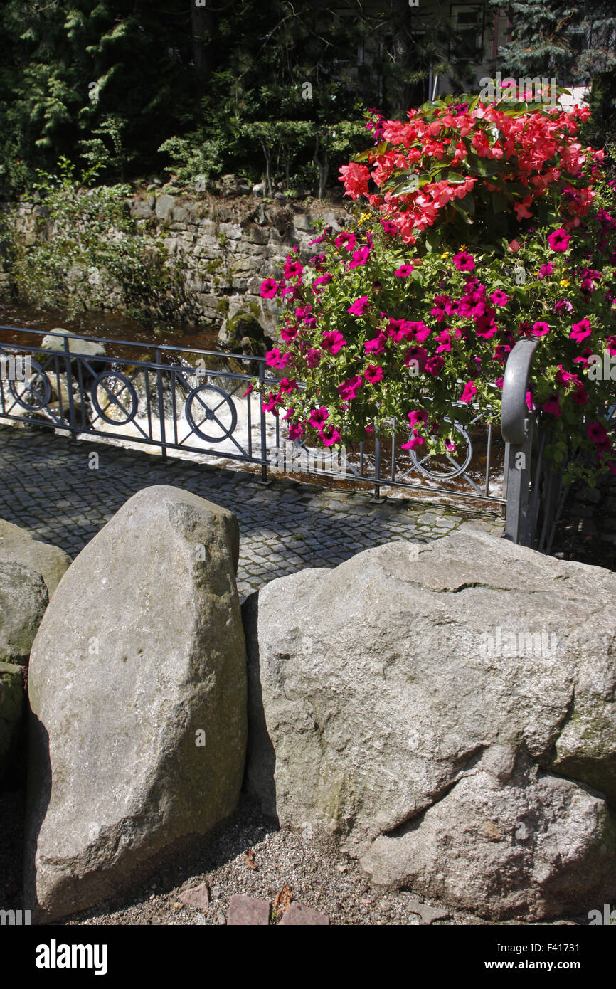 Ried 27, Bad Harzburg Banque D'Images Ried 27, Bad Harzburg Banque D'Images