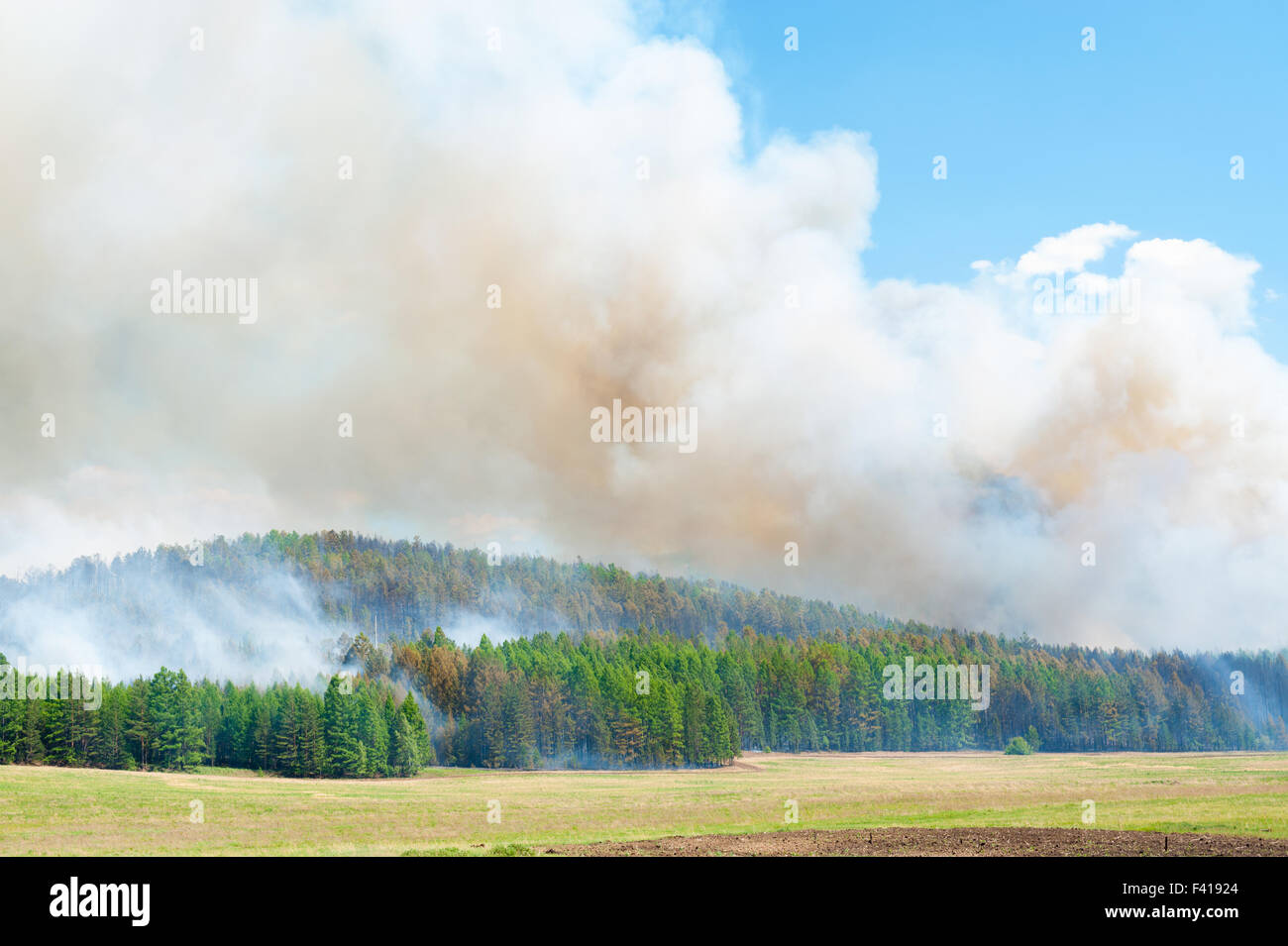 feu de forêt Banque D'Images