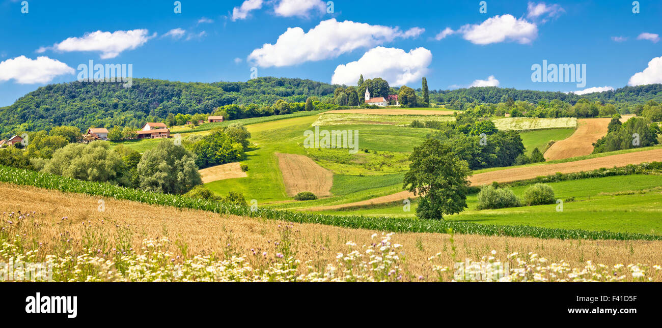 Vue panoramique du paysage agricole idyllique Banque D'Images