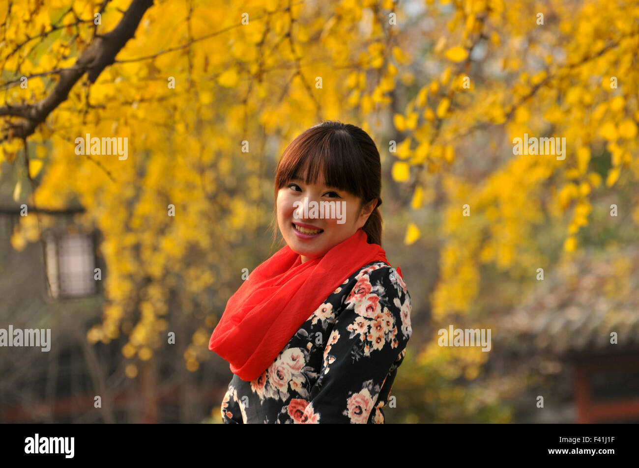 Jolie fille chinoise dans la campagne Banque D'Images