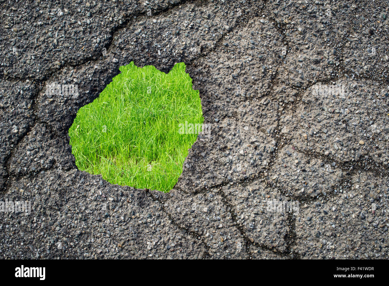 Trou de la route et l'herbe verte eco concept Banque D'Images