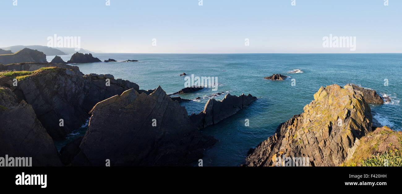 Vue panoramique sur les falaises rocheuses à Hartland Quay, North Devon, UK Banque D'Images