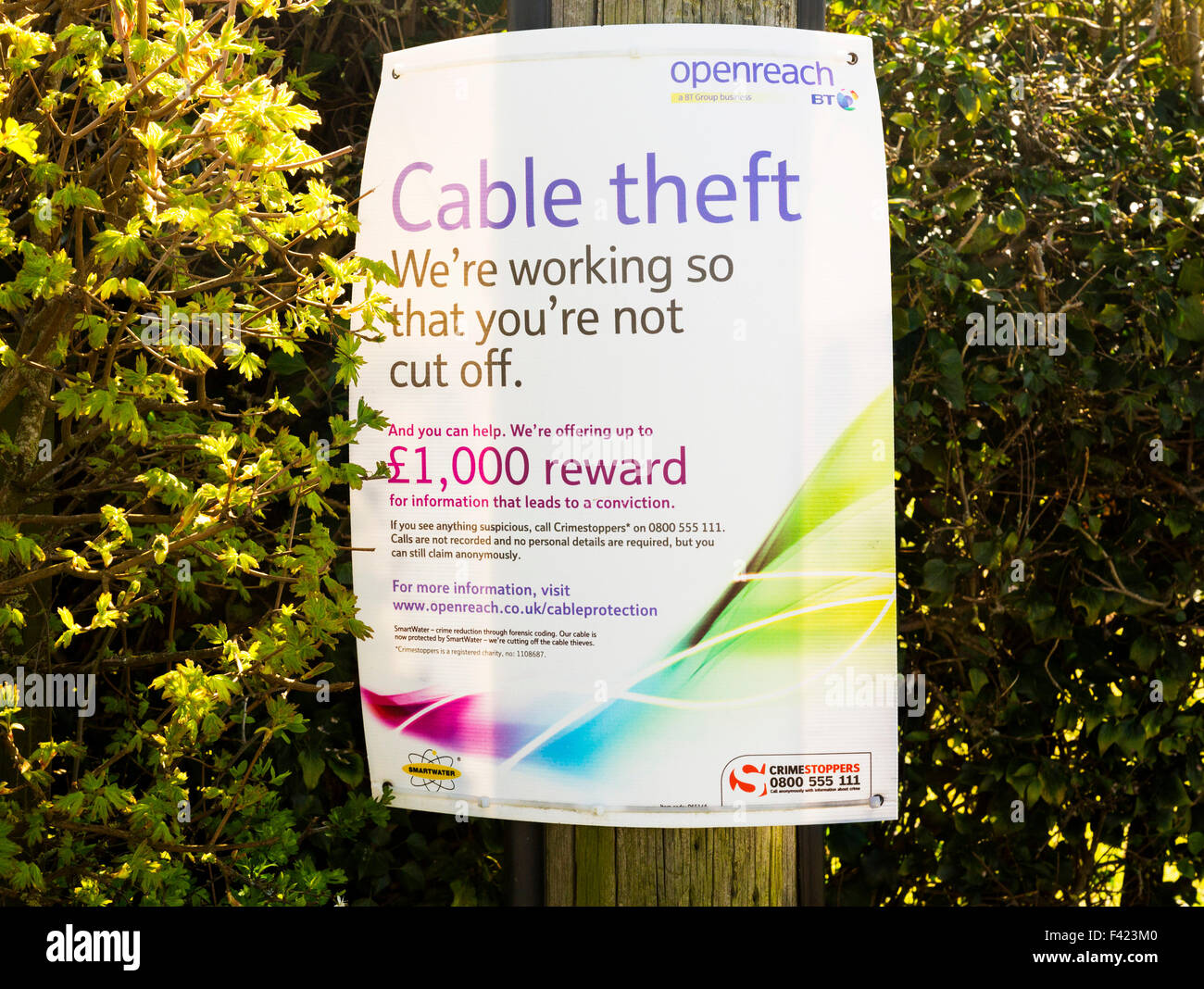 BT Openreach poster offrant une récompense pour le vol de câble Banque D'Images