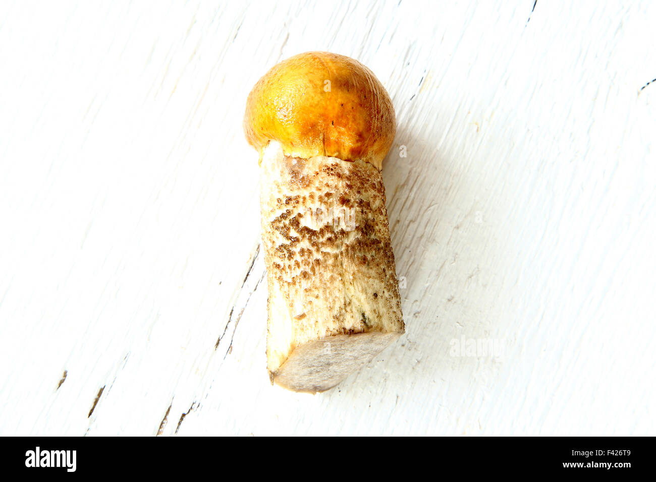 Boletus aspen-cap orange sur blanc de champignons d'automne du pays Banque D'Images