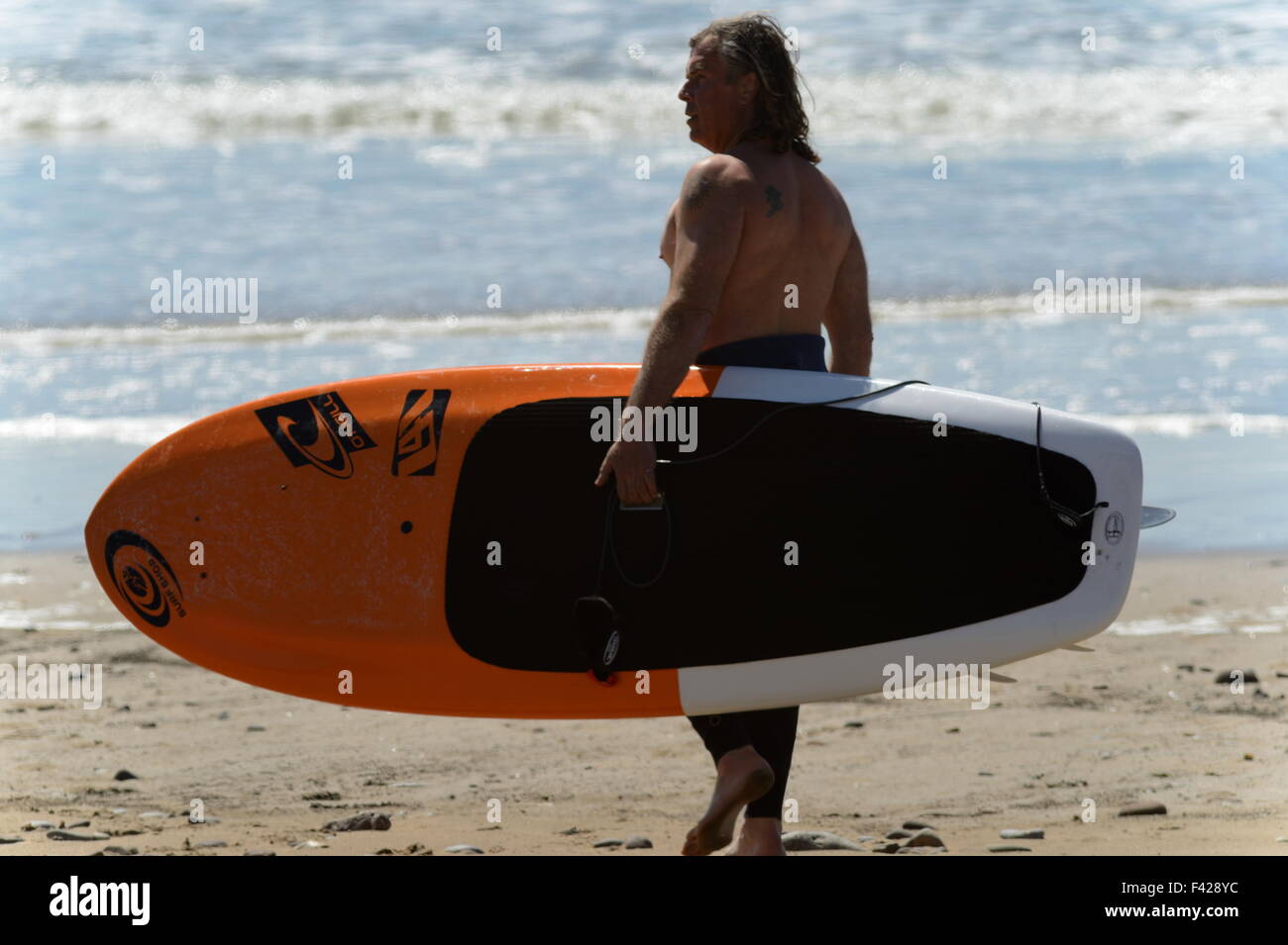 Surfer carrying stand up paddle board sur la plage au surf blanc sur Gower, Pays de Galles, Royaume-Uni Banque D'Images