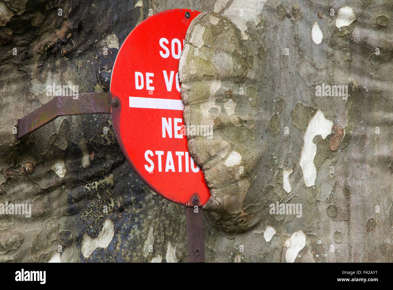 No parking sign, Franche Comte, France Banque D'Images