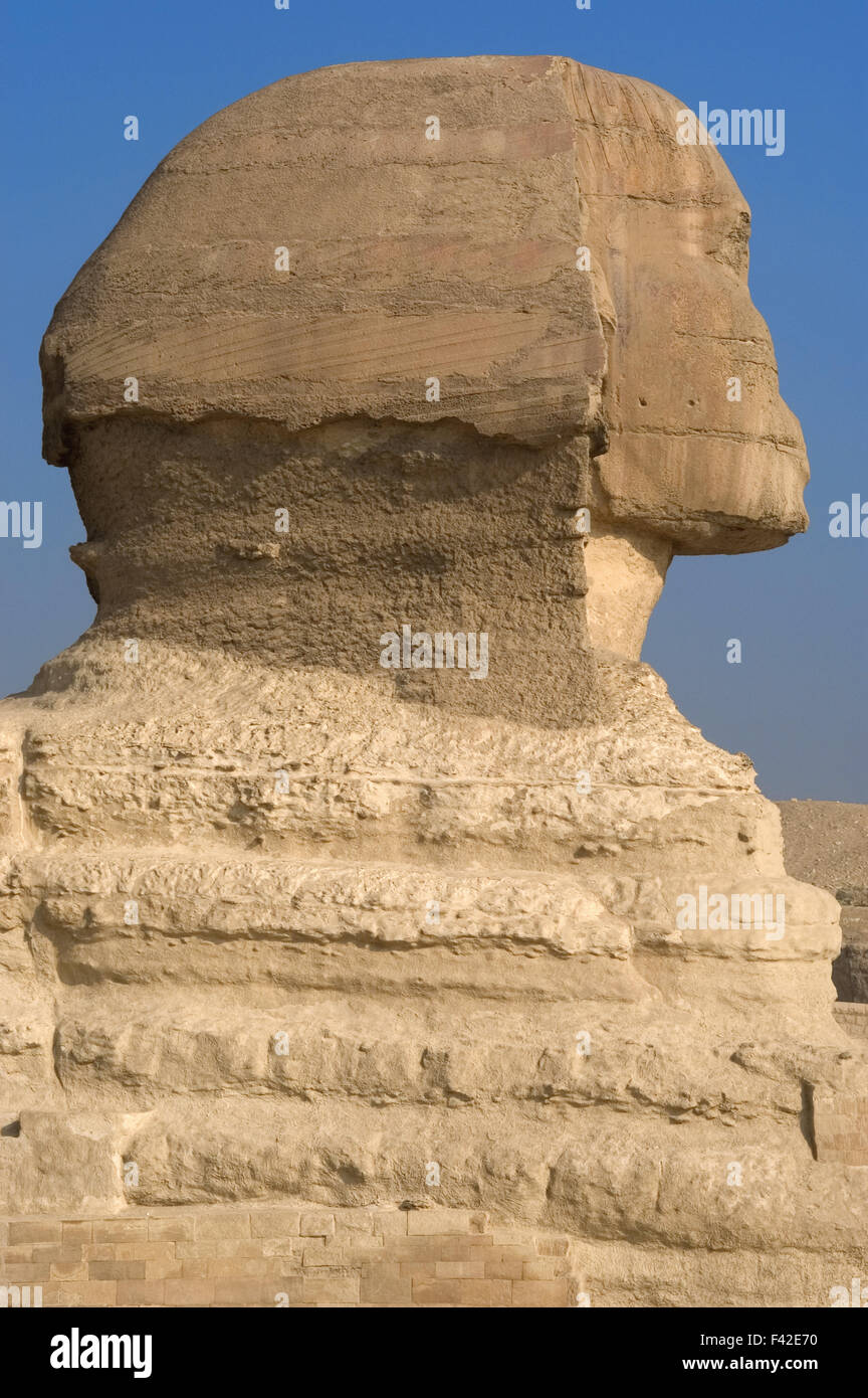 L'Égypte. Grand Sphinx de Gizeh. Statue en pierre calcaire avec corps de lion et tête humaine. Est d'avis que représente le pharaon Khafra. Construit comme une garde de protection sur les berges du Nil. Vieux Royaume. 2500 av. J.-C. environ. 4ème dynastie. Banque D'Images