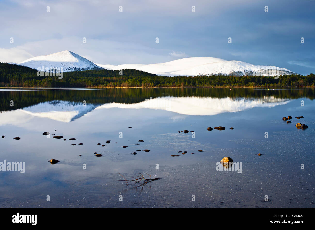 Eilrig Carn enneigée reflétée dans les eaux calmes du Loch Morlich, hiver, les Highlands écossais, Cairngorms Scotland UK Banque D'Images