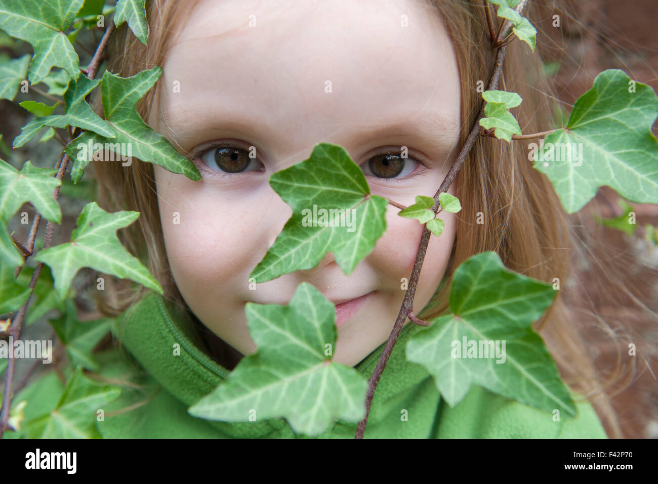 Petite fille à la recherche à travers le lierre, close-up Banque D'Images