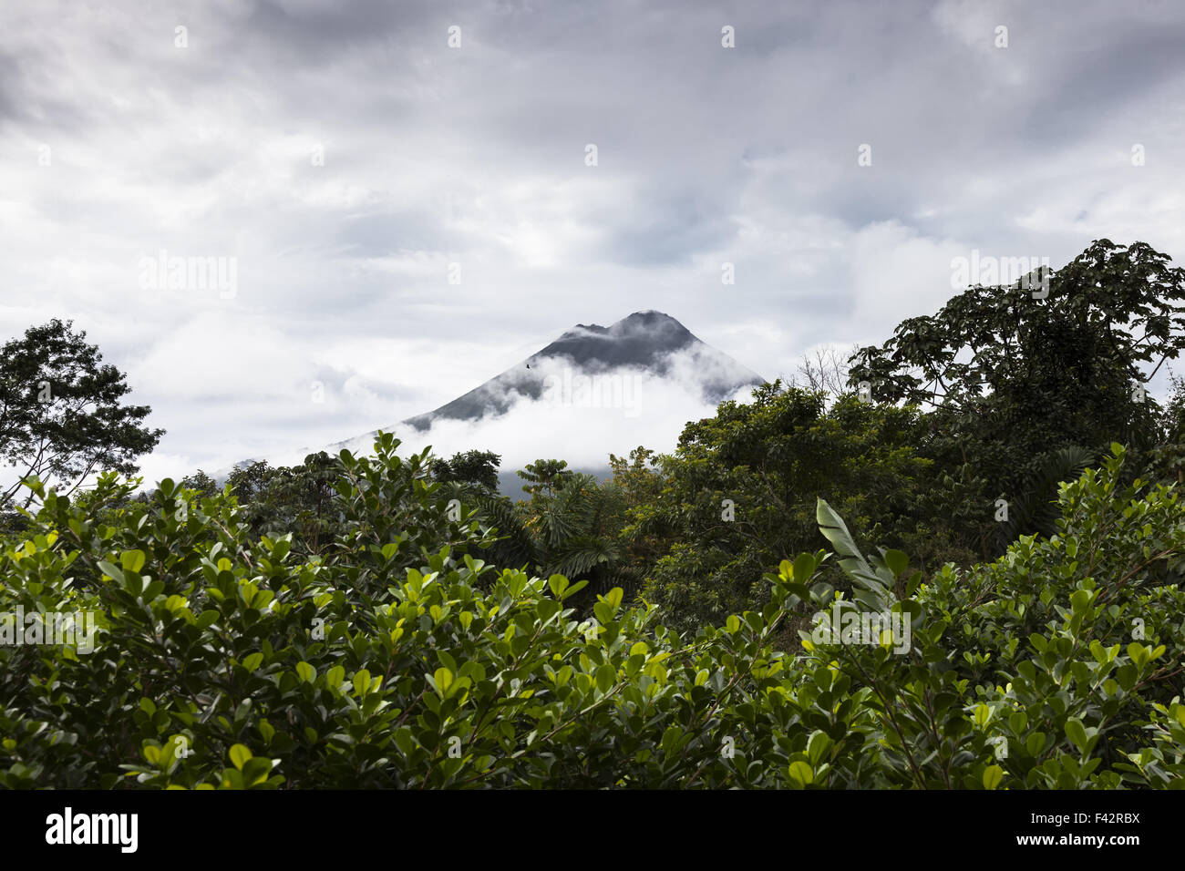 Le Volcan Arenal au Costa Rica Banque D'Images