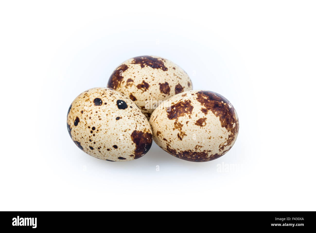 Oeufs de caille Banque D'Images