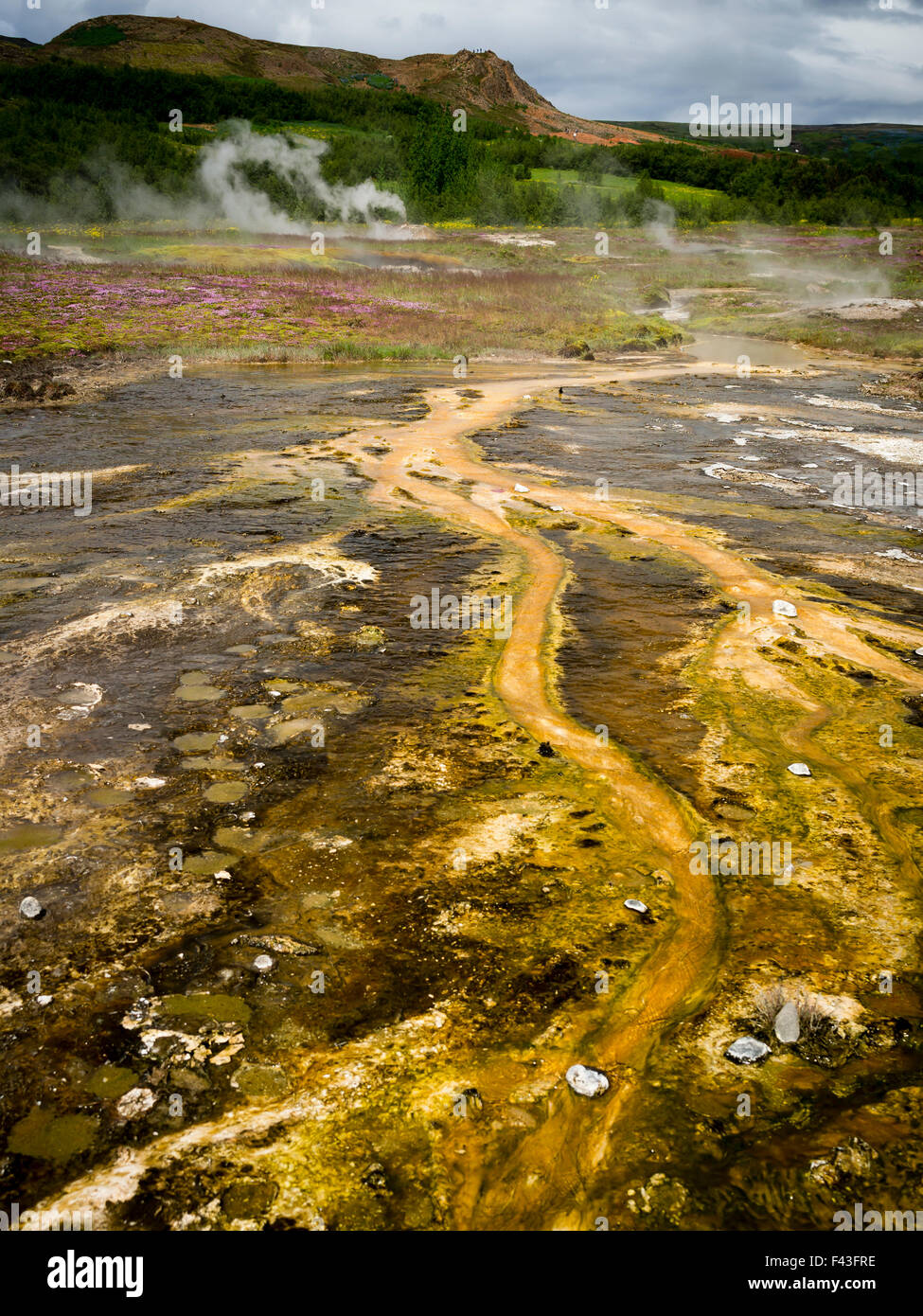 L'augmentation de vapeur à partir de hot springs près d'un geyser dans une zone d'activité géothermique Banque D'Images