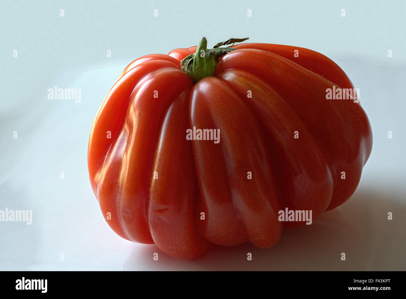 Une tomate boeuf Banque D'Images