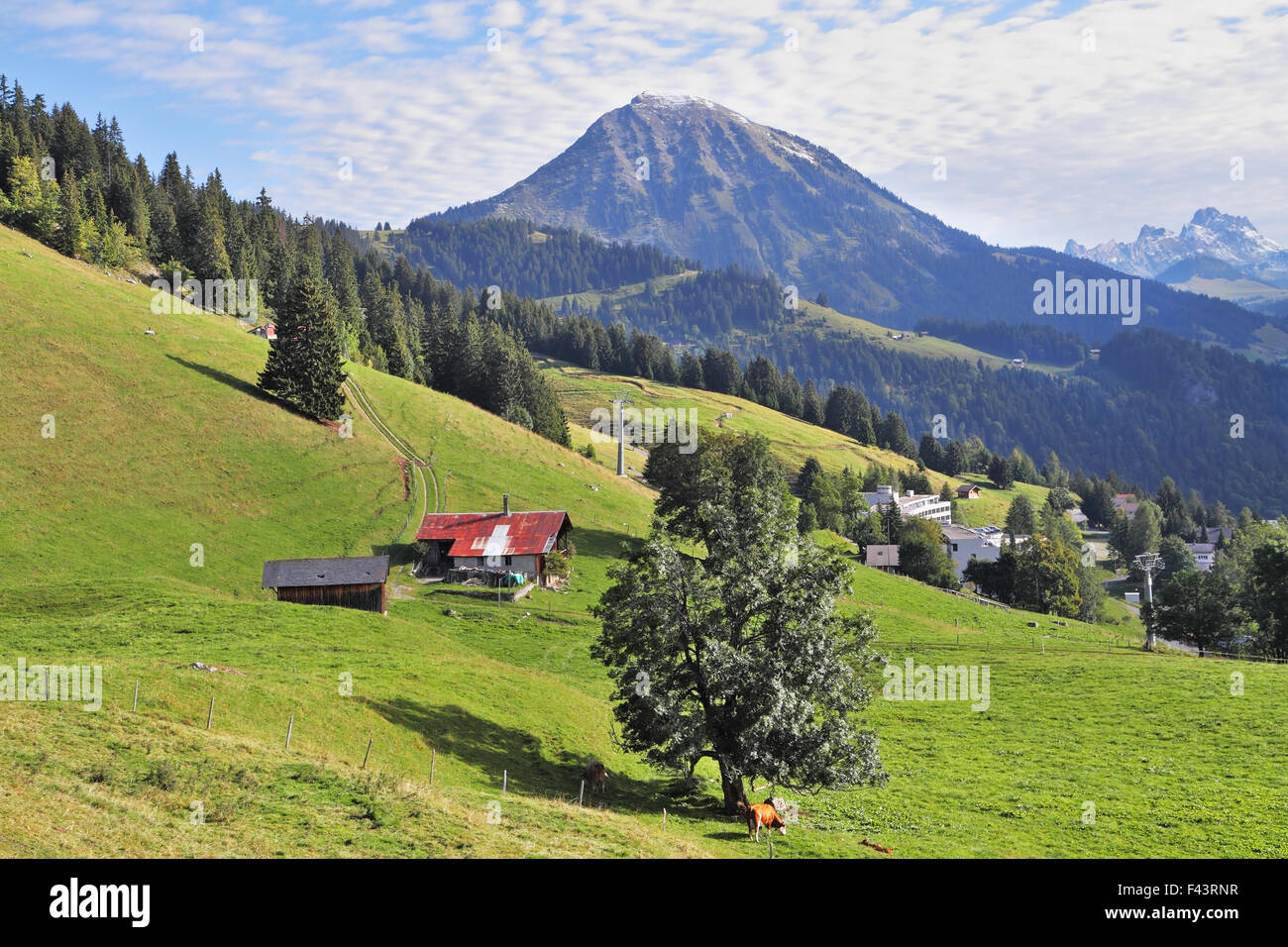 Red Roof d'un chalet suisse sur une colline Banque D'Images