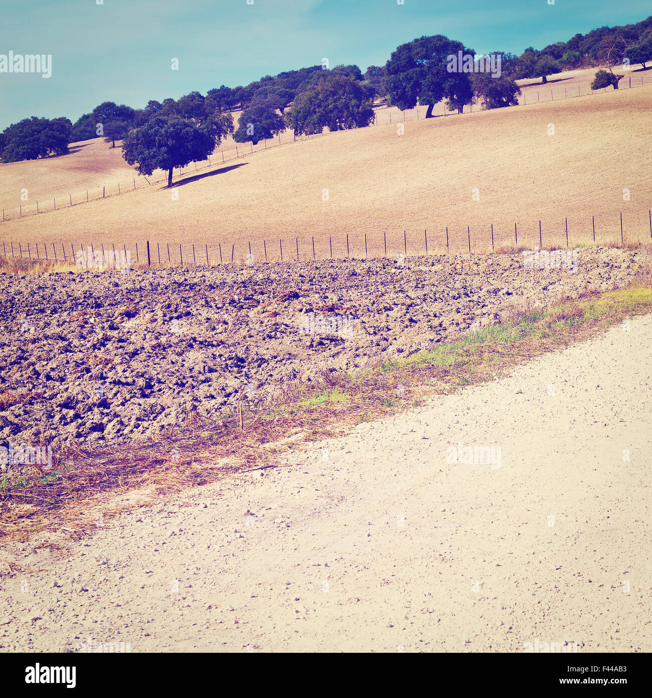 Collines en pente douce Banque D'Images