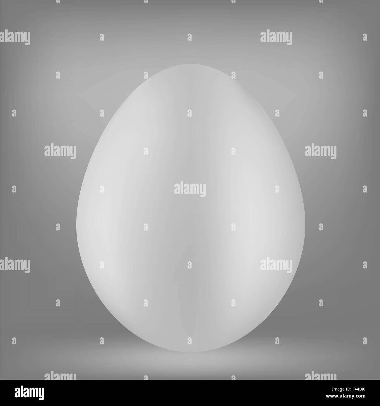 Oeuf blanc Banque D'Images