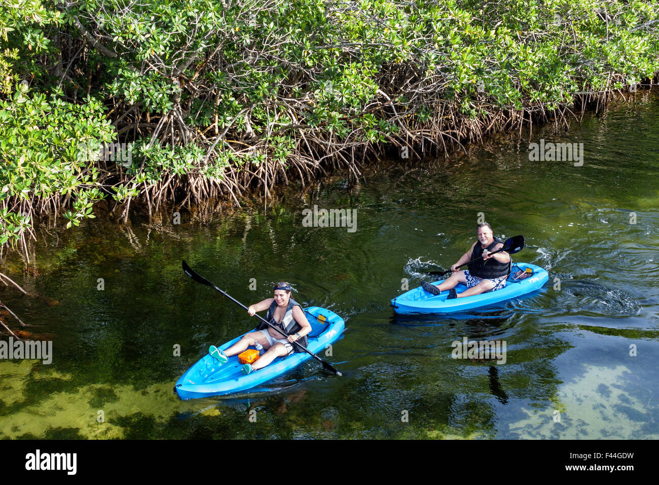 Florida Keys, autoroute route 1 Overseas Highway, Key Largo, John Pennekamp Coral Reef State Park, Largo Sound, adultes homme hommes hommes, femme femmes femmes femmes femmes Banque D'Images