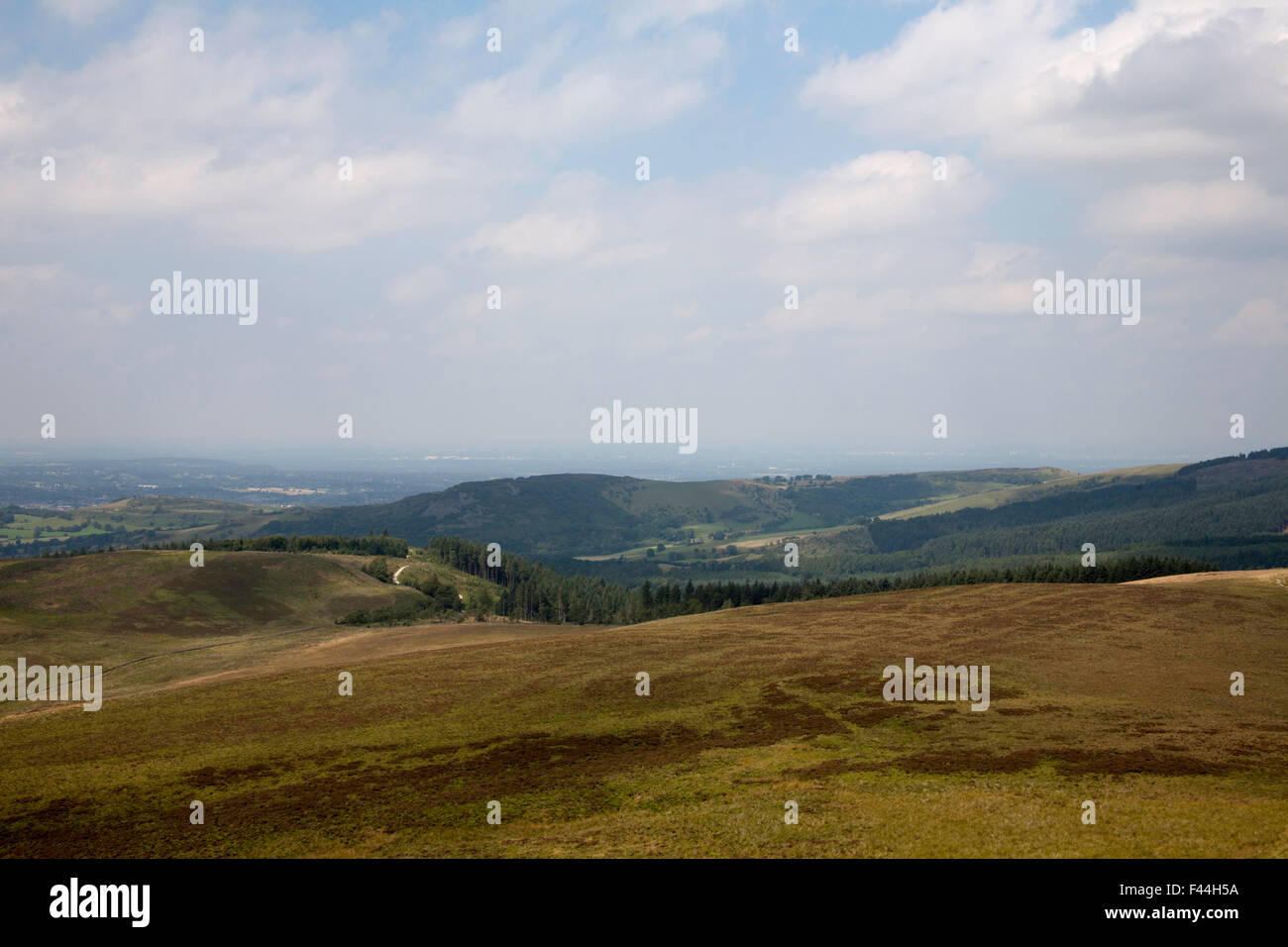 Buxtors Shutlingsloe ci-dessous de la colline près de la forêt de Macclesfield Cheshire Angleterre Banque D'Images