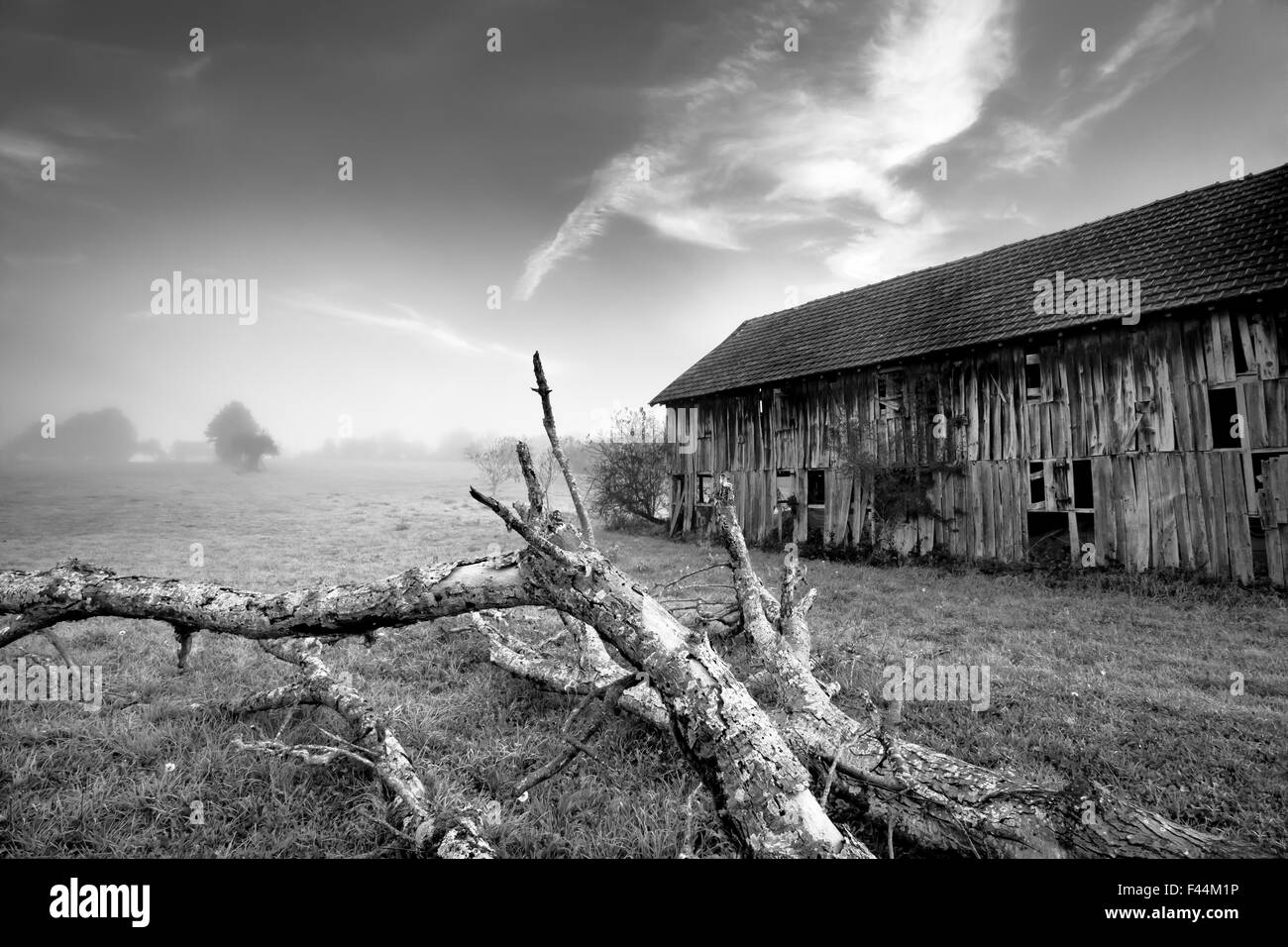 Fallen Tree Inn un champ avec une grange de tabac Banque D'Images