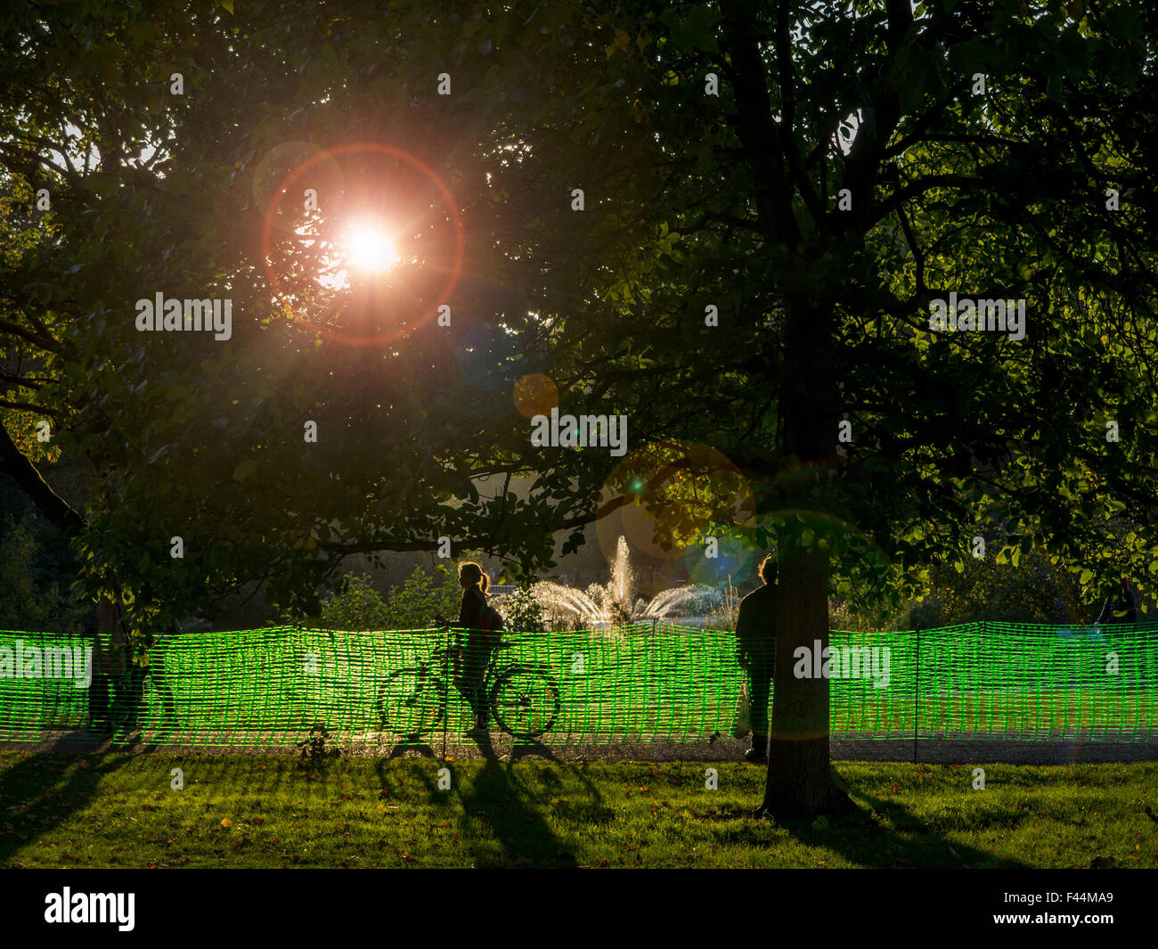 De longues ombres en automne à St James's Park au centre de Londres Banque D'Images