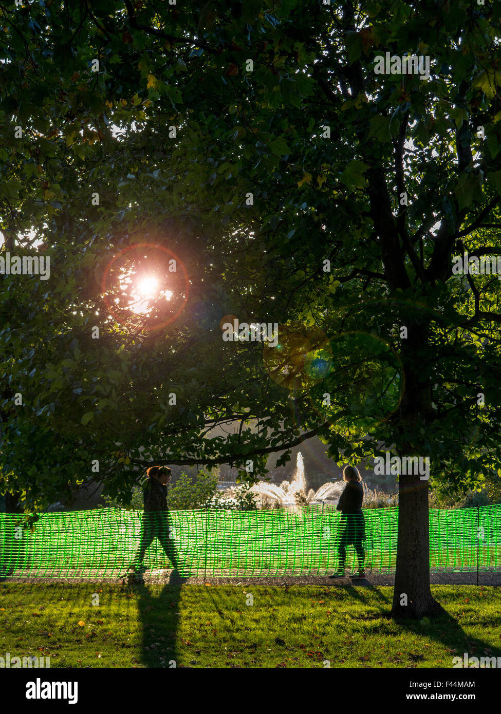 De longues ombres en automne à St James's Park au centre de Londres Banque D'Images
