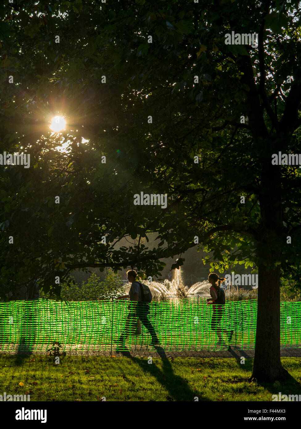 De longues ombres en automne à St James's Park au centre de Londres Banque D'Images