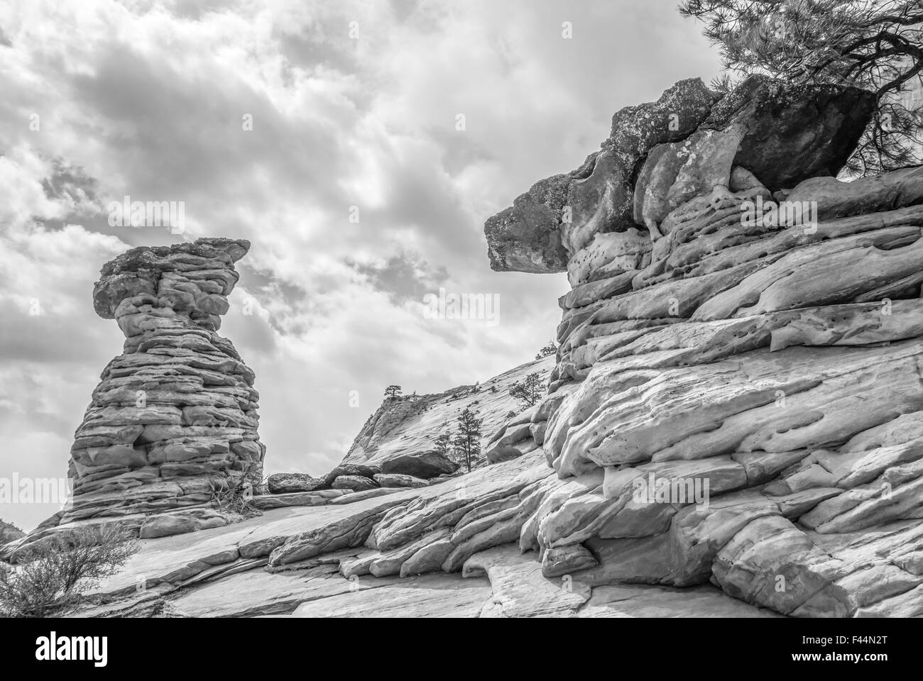 Zion Canyon National Park Utah Banque D'Images